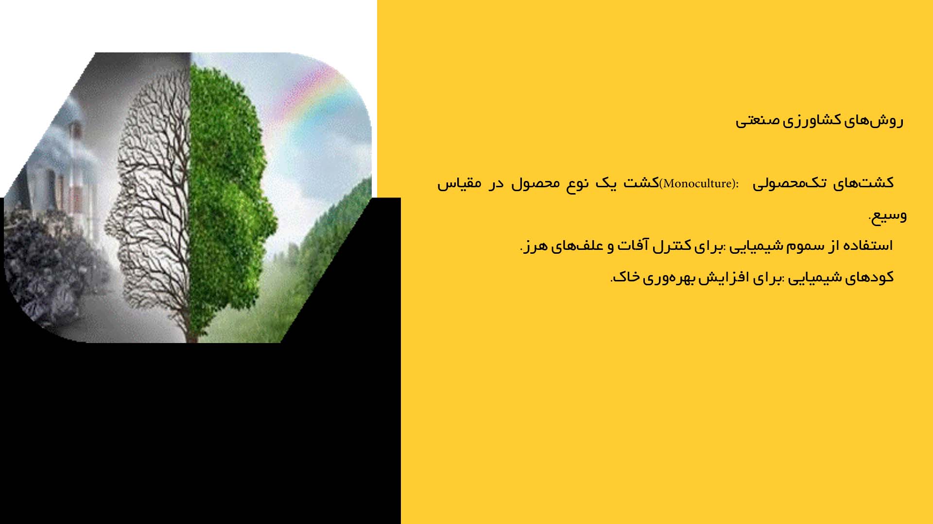 پاورپوینت در مورد تاثیرات کشاورزی صنعتی بر تنوع زیستی